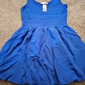 LOFT Royal Blue Sleeveless Dress